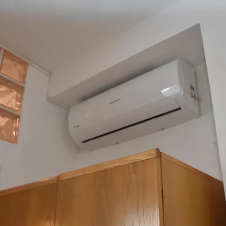 Olivo Marina di Campo